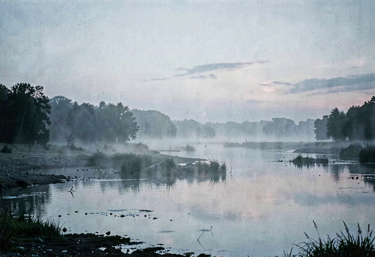 Mist sitting low over a tidal estuary at dawn