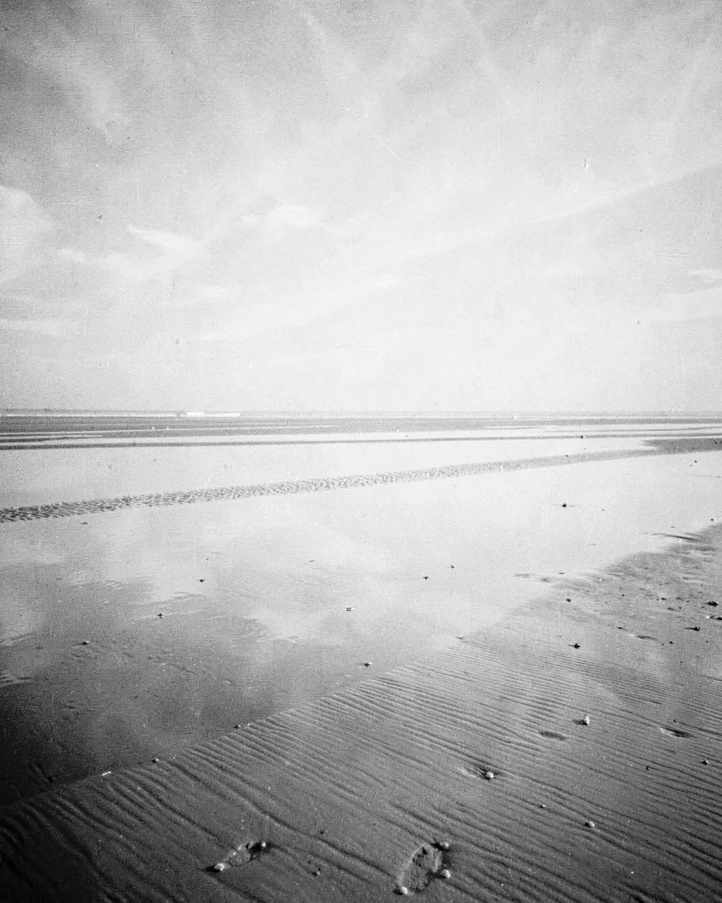 Wet sand mirroring a pale sky at low tide