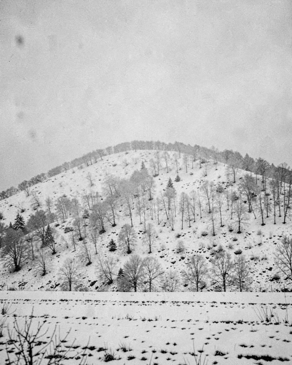 Snow grain on a hillside under flat winter light