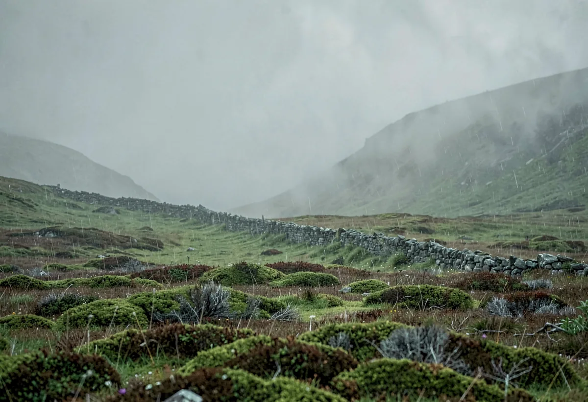A drystone wall vanishing into hill fog