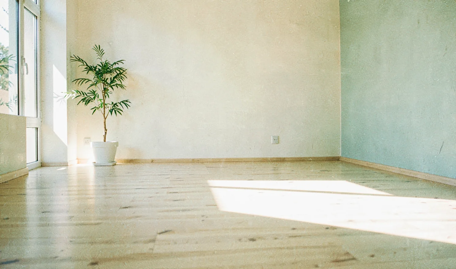 A bright, near-empty movement studio with morning light across the floor