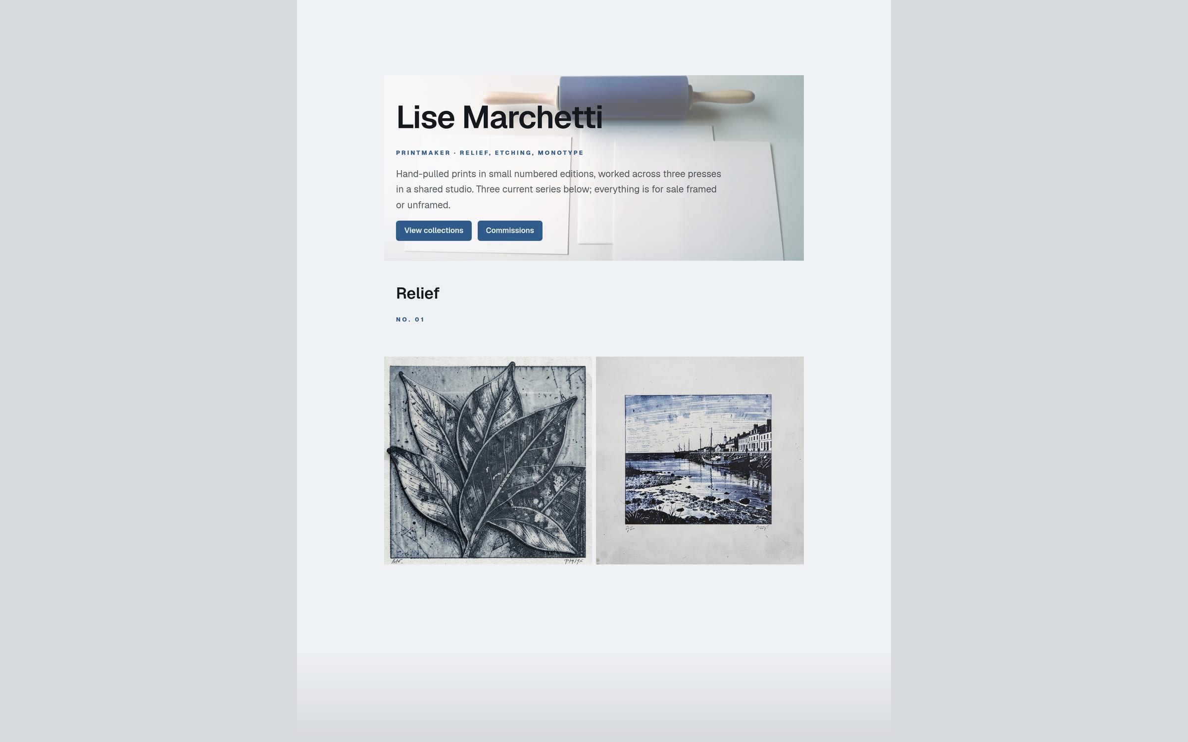 Plate template preview