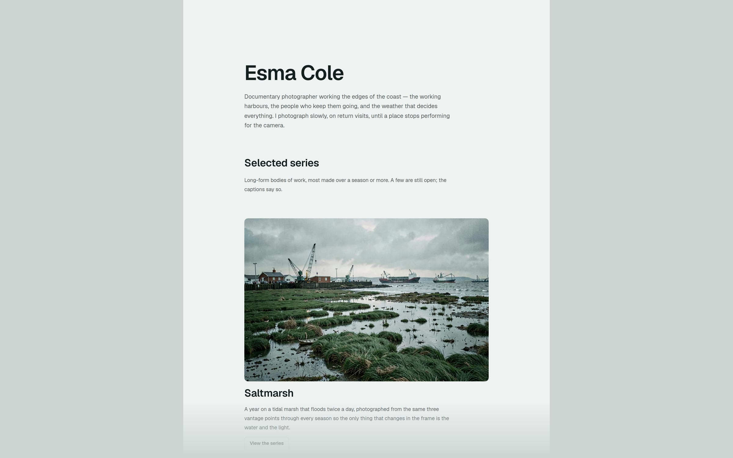Tideline template preview