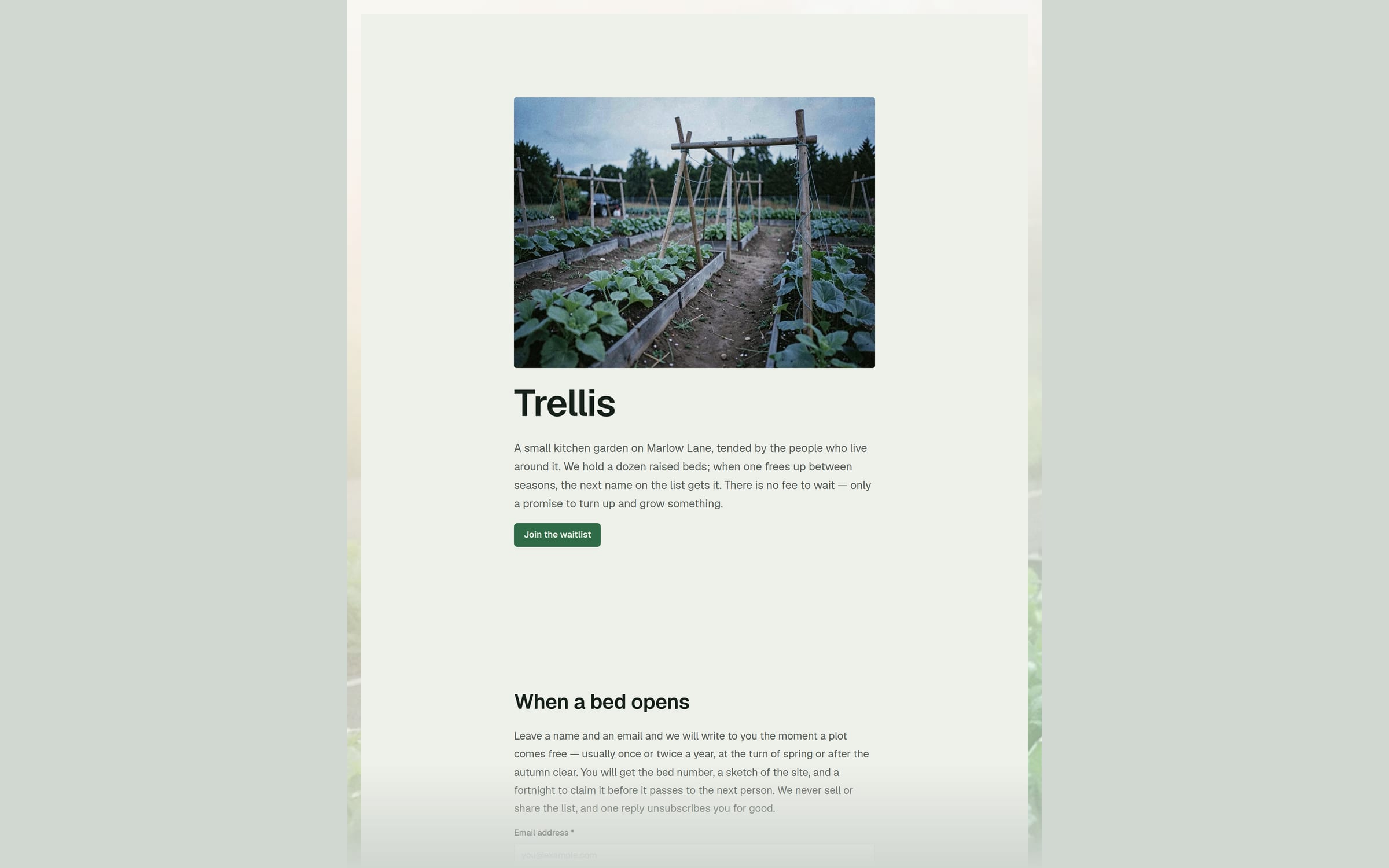 Trellis template preview